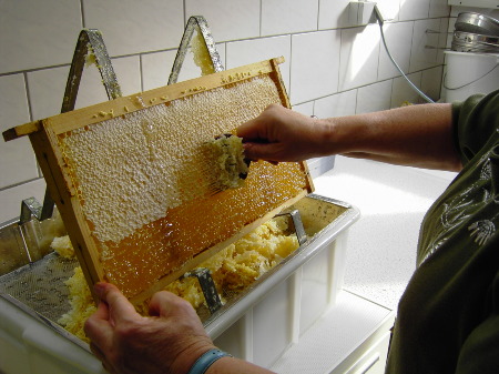 Entdeckeln einer Honigwabe